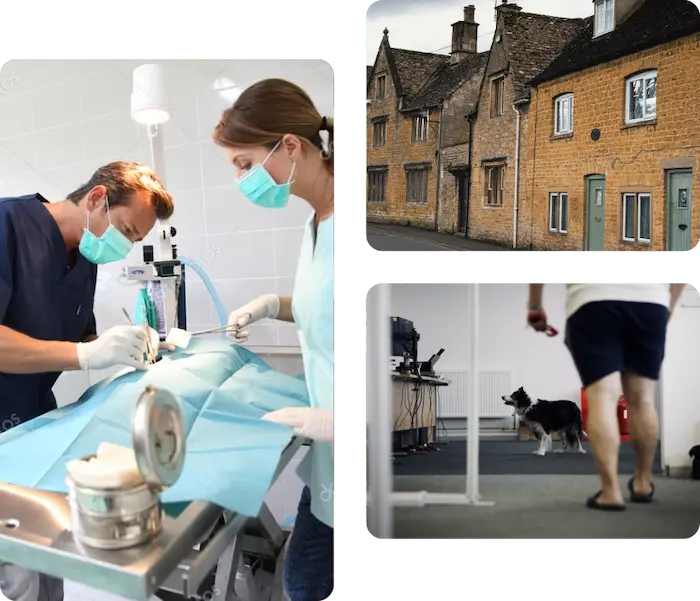 A collage of the two centres and a sugery room.