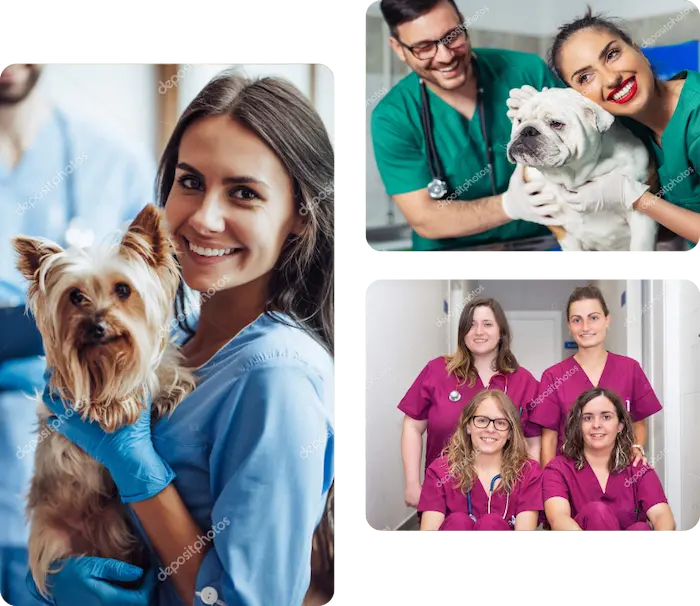 A collage of vets some holding pets.